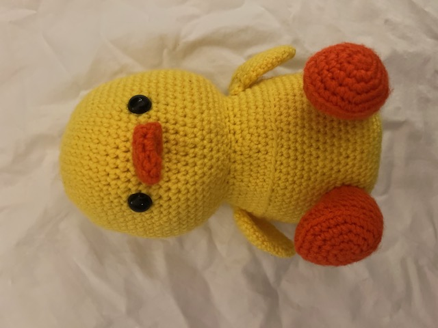 Sunny Duck - photo 1