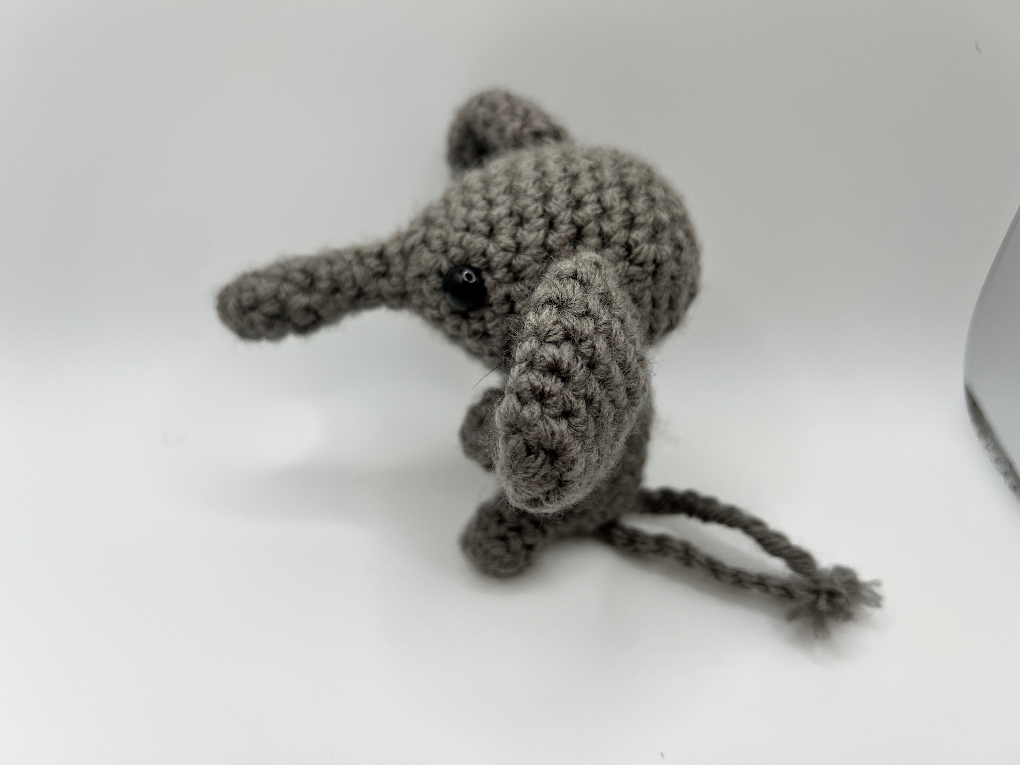 Elephant - photo 2