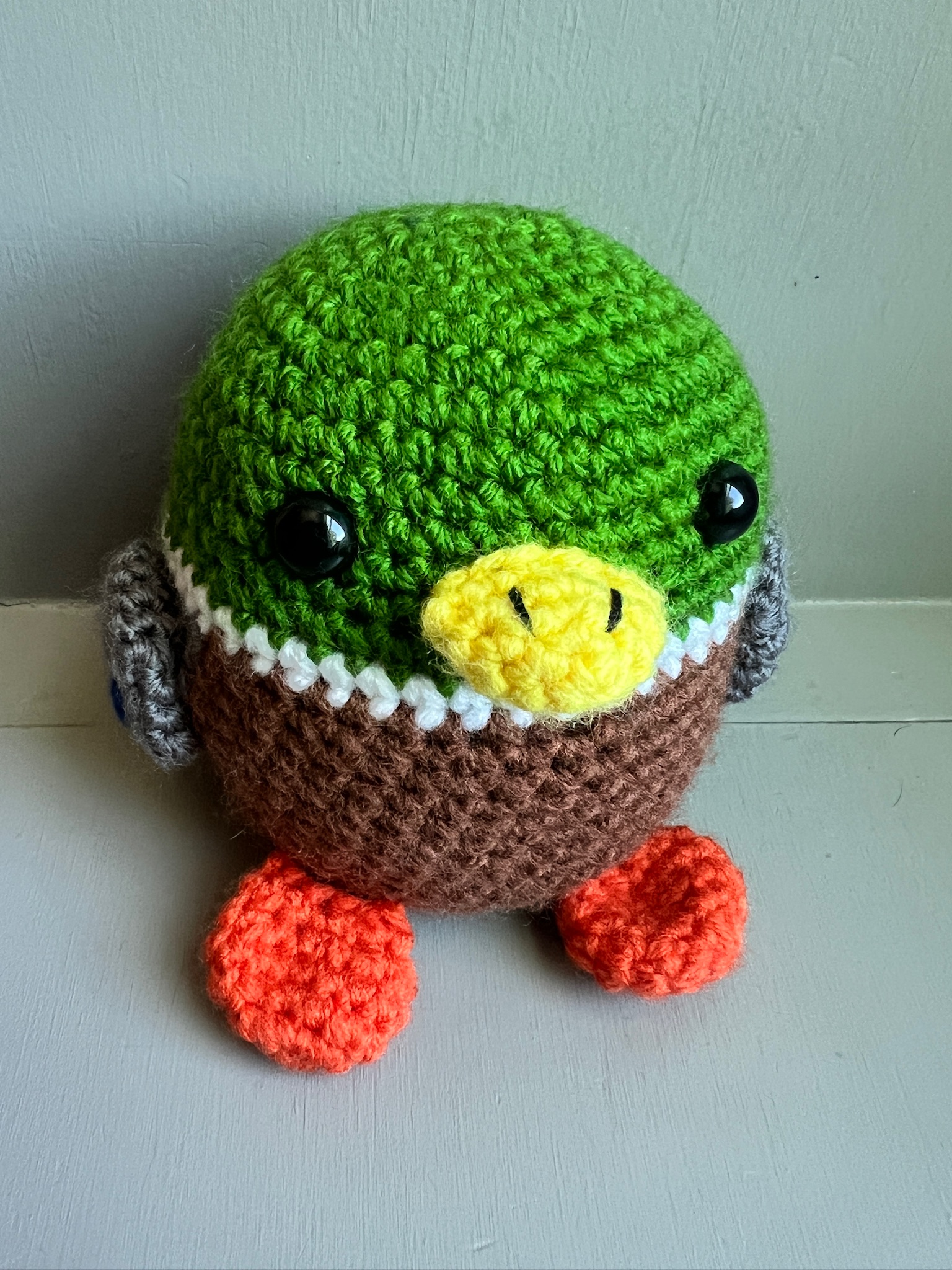 Mallard Duck