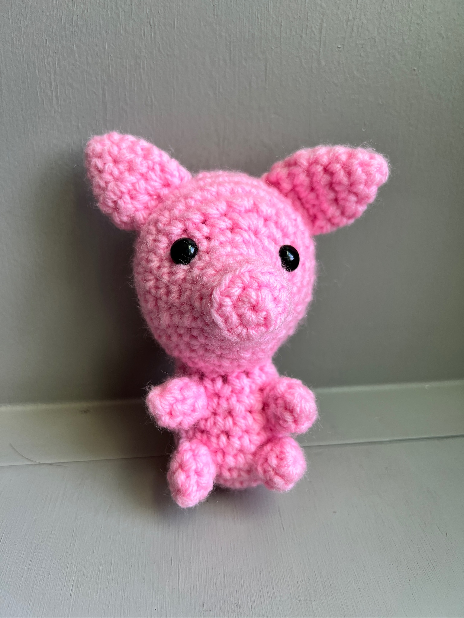 Mini Pig - photo 1